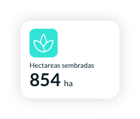 home widget